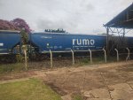 RUMO HTT-352776-0